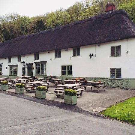 Hotel Hambro Arms à Milton Abbas Extérieur photo