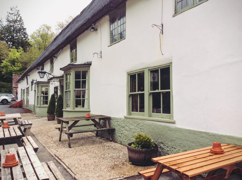Hotel Hambro Arms à Milton Abbas Extérieur photo