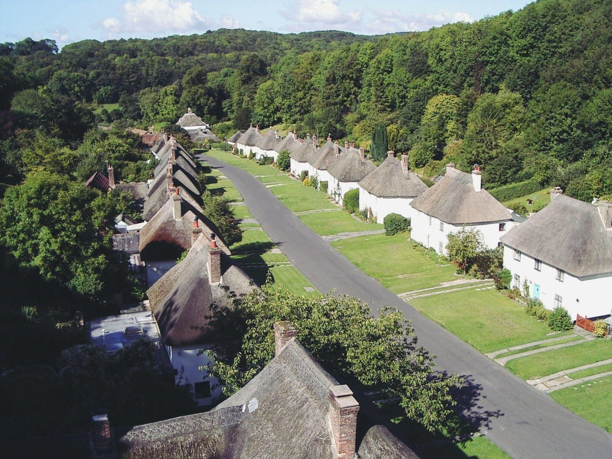 Hotel Hambro Arms à Milton Abbas Extérieur photo
